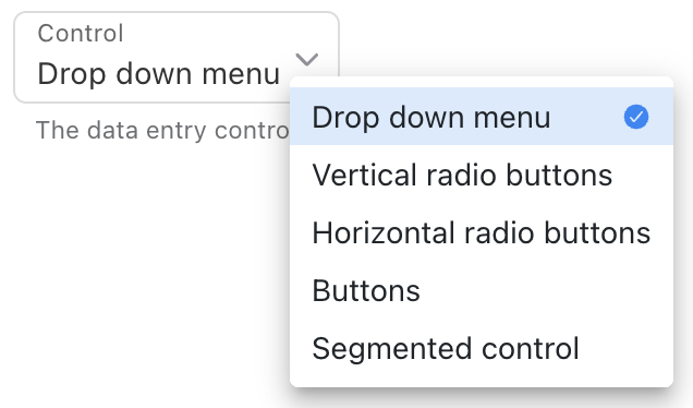 Text Control field choices